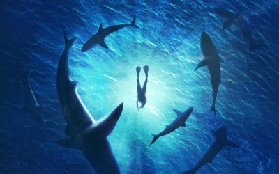 Digital Safety: Swimming with Sharks